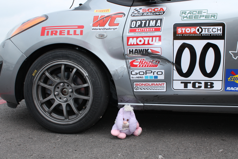 Illustration for article titled Fluffy Bunny and the Most Last-Minute World Challenge Entry Ever